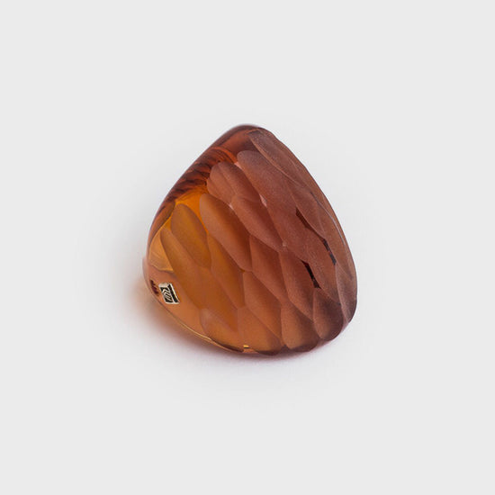 Pure Scaglie - CC501