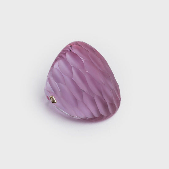 Pure Scaglie - CC502